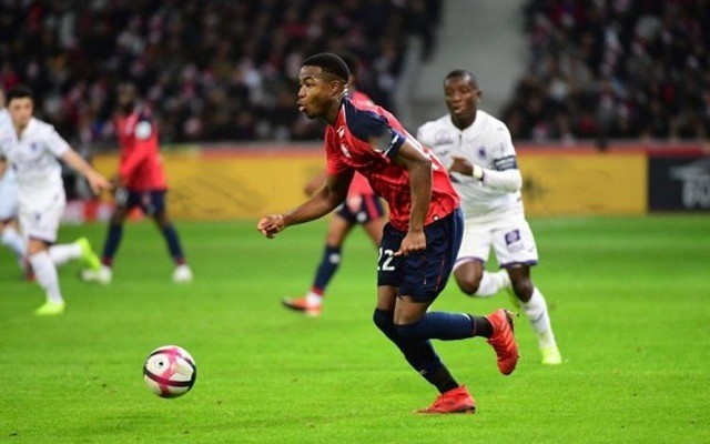 球率高的球 球率高的球